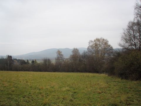 Foto 42